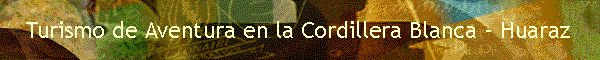 Novedades